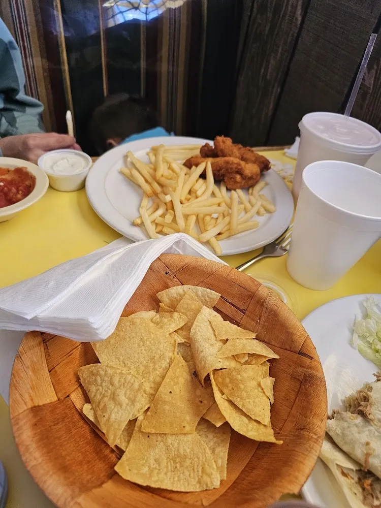 Child's Plate Chicken Strips and Fries